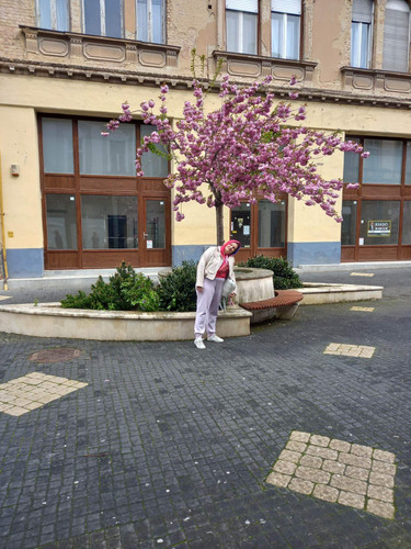 IMG 6007.jpg