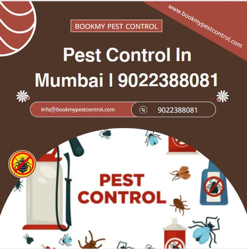 Combating Critters A Guide to Pest Control Services in Mumbai.jpg