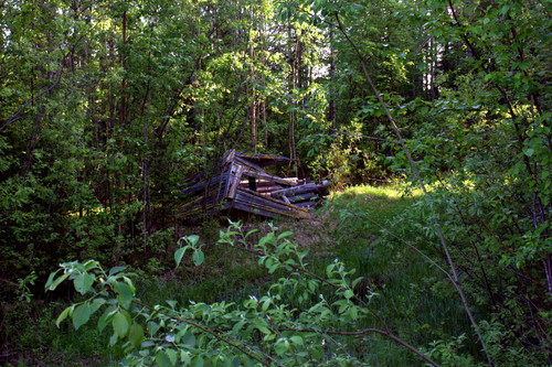 IMG 1780.jpg