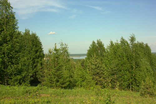 IMG 1774.jpg