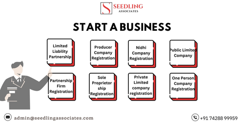 START A BUSINESS WITH SEEDLING ASSOCIATES.png