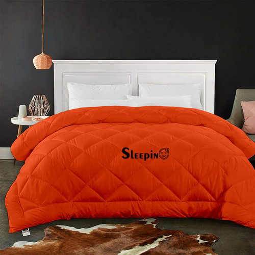 Orange (13).jpg
