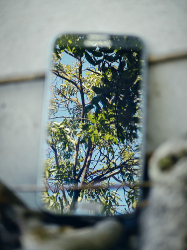 IMG 20240614 100433.jpg