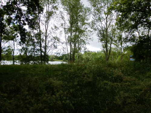 Orléans Ile Charlemagne 18.jpg