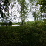 Orléans Ile Charlemagne 18