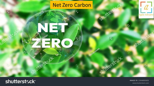 14.6.24 nzcarbon.jpg