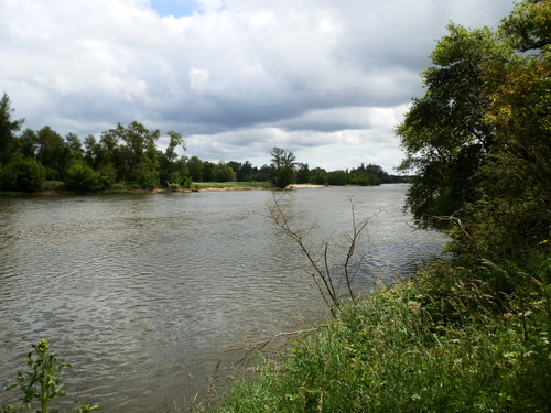 Orléans Ile Charlemagne 22.jpg