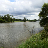 Orléans Ile Charlemagne 22