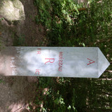 Ormes Domaine de la Canaudière 8