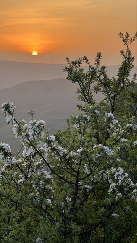 IMG 20240613 183709 937.jpg