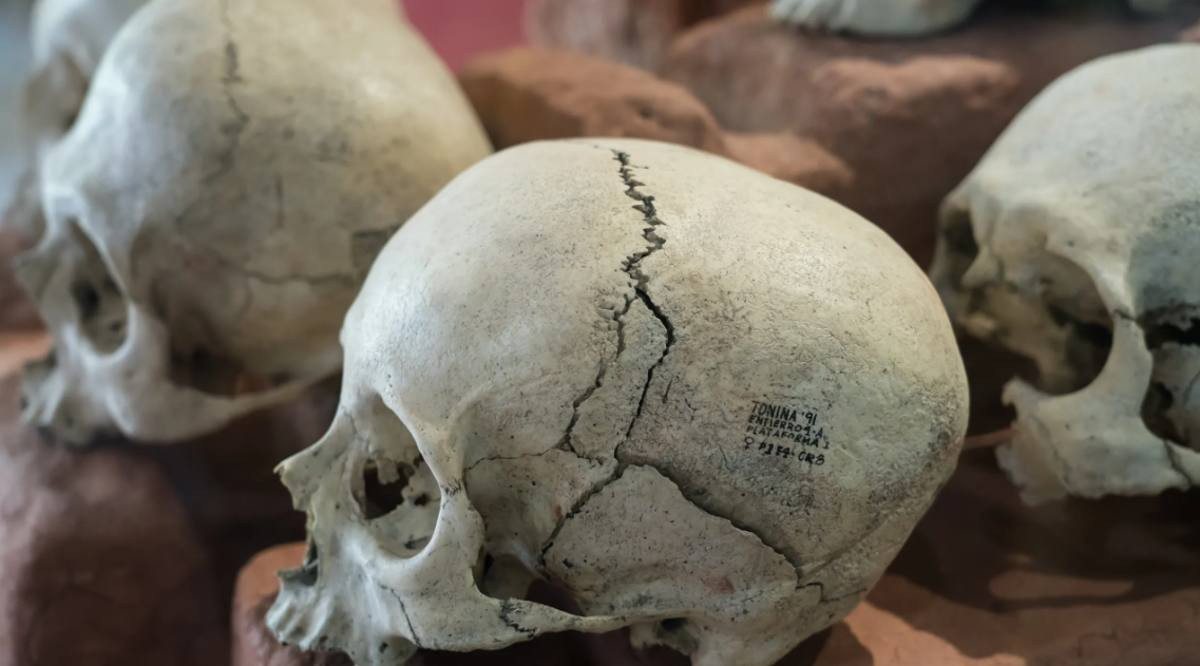 Segreti Chultún Maya: Analisi DNA svela nuove verità sui Sacrifici Umani