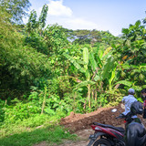 LUGIYATI 2