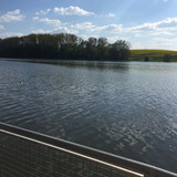 IMG 0024