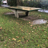 IMG 4175