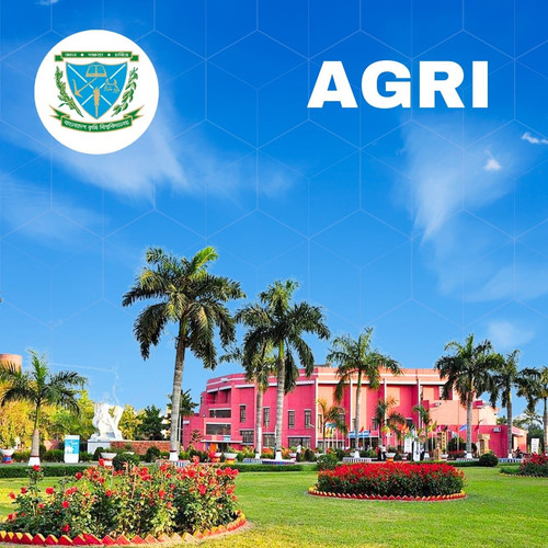 8b963363 2818 4fa5 9a9e 181d2eaddb6c.jpg