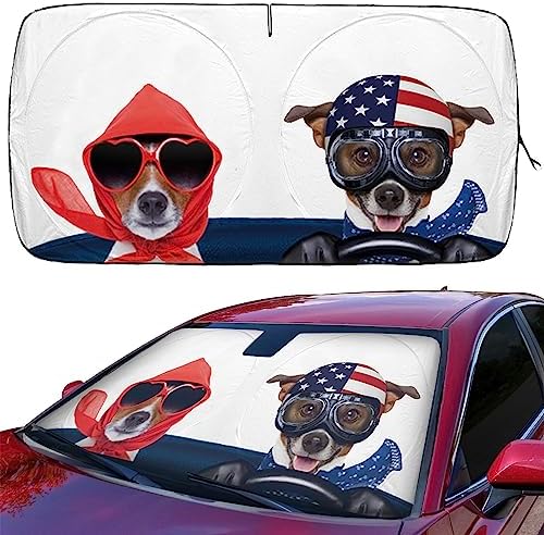 51LDZAkgEqL. SL500 . AC SL500 .jpg