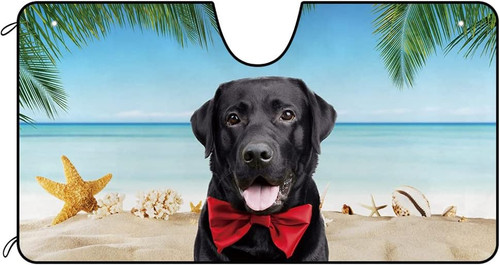 64ff17870b6e4c6f5b1f3d35 cafetime dog car windshield sunshade a.jpg