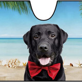 64ff17870b6e4c6f5b1f3d35 cafetime dog car windshield sunshade a