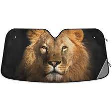 images 2024 06 16T113803.748.jpg