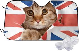 images 2024 06 16T113904.666.jpg