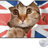 images 2024 06 16T113904.666