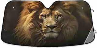 images 2024 06 16T113814.060.jpg