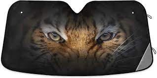 images 2024 06 16T113818.179.jpg