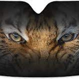 images 2024 06 16T113818.179