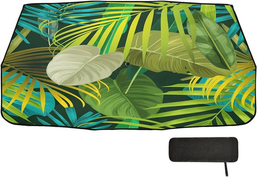 71PrNr+9FCL. AC UF894,1000 QL80 .jpg