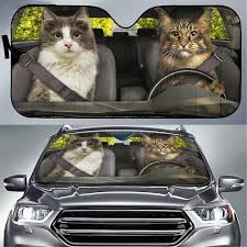 images 2024 06 16T120552.219.jpg