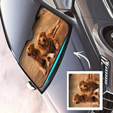 61yFLYmFOEL. AC UF1000,1000 QL80 