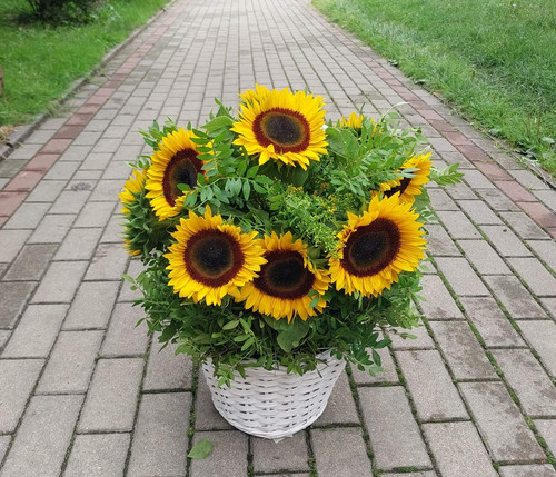 kosz słoneczników.jpg