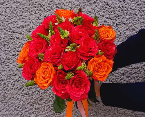 prawdziwa miłość.jpg