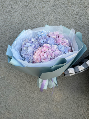 niebieskie hortensje.jpg