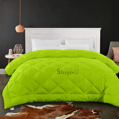 Parrot Green (3).jpg
