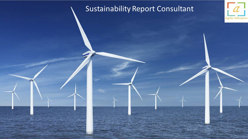 Sustainability Report Consultant 1.jpg