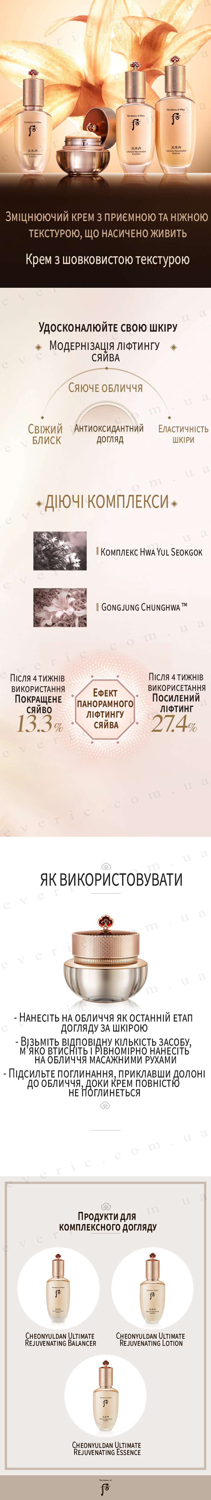 51106053 P копия