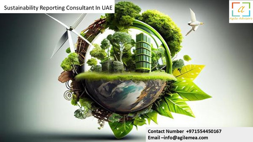 Sustainability Reporting Consultant In UAE.jpg