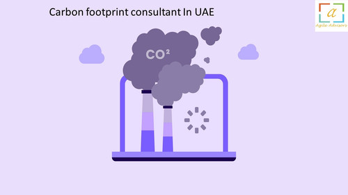 Carbon footprint consultant In UAE.jpg