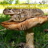 output with quote.png