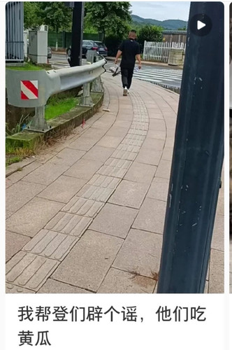 img 17181944179518cd7c8082cd3a22a80186df5a34114b566d55906f797cfb7d81e9d03a32260e4 edit 4095664358134.jpg