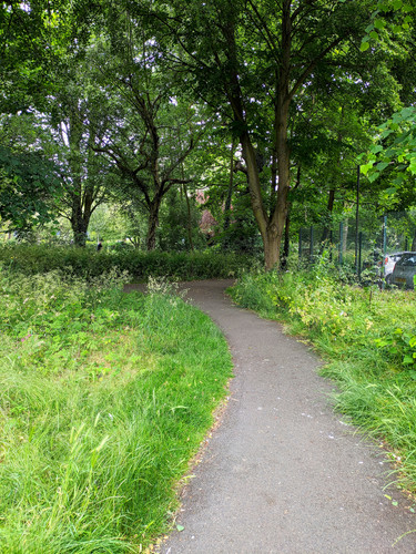 Spinney Hill Park  ,  2024 - 06 - 13.jpg