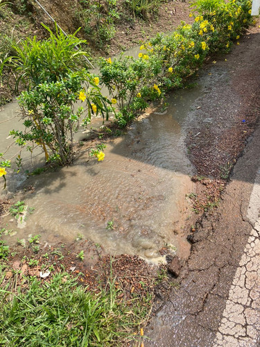 WhatsApp Image 2024 06 14 at 12.55.00.jpg