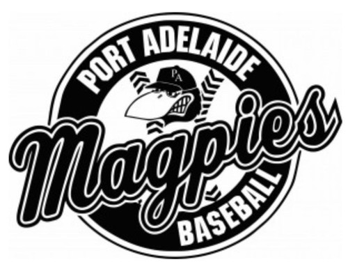 441563471 3411122935852612 3076288621923023448 n.jpg