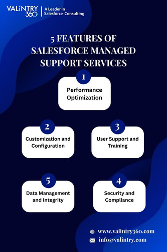 5 Features of salesforce managed support services.jpg