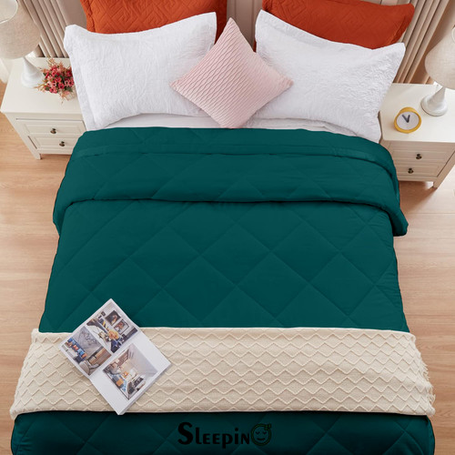 Teal (17).jpg