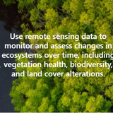 Agroforestry carbon projects.png
