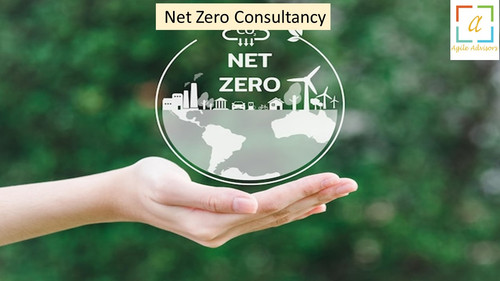 13.6.24 nzconsultancy.jpg