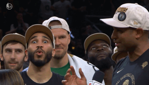 GIF 6 17 2024 10 20 01 PM.gif