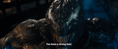 v1 335.gif